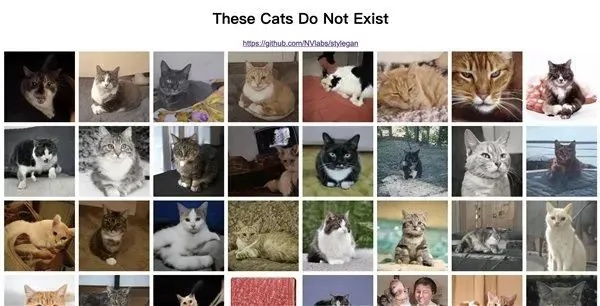 猫咪破解版本,实地数据验证实施-1440p_v1.469