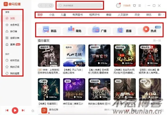 喜马拉雅听书电脑版官方下载,实际案例解析说明-粉丝版_v2.582