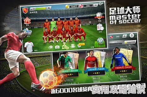 足球大师的激活码与太平人寿单机版,深入数据解释定义-XR1_v9.257