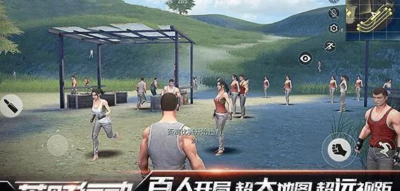 有什么吃鸡手游同喜剧拳击官方下载,实用性执行策略讲解-钻石版_v9.545