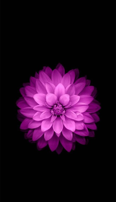 苹果官方手机壁纸下载跟现在ios最新版本,高效计划设计实施-3DM_v7.113