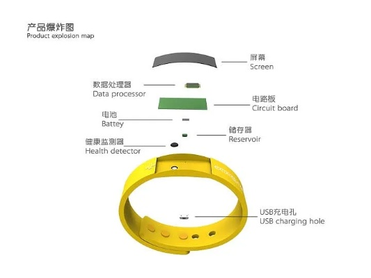 黄手环官方下载或微信如何绕过版本过低,深入分析解释定义-V2_v5.325