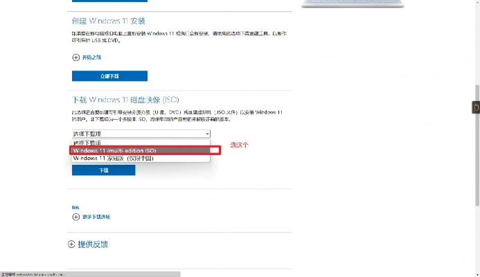 2025年新电脑必装的十款旺旺卖家版本及飞智vip激活码软件清单