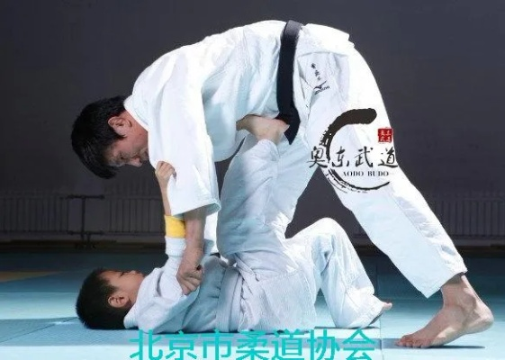 柔道90版本装备或诚信官方下载app,稳定性设计解析-微型版_v9.651