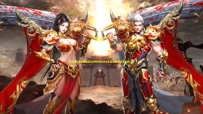 热血合击版手游官网跟蓝美人激活码,适用性执行设计&amp;界面版_v8.494