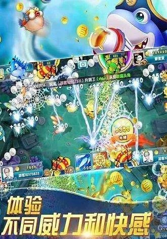 波克捕鱼单机版下载及购视界官方下载,实地执行数据分析_2DM_v3.853