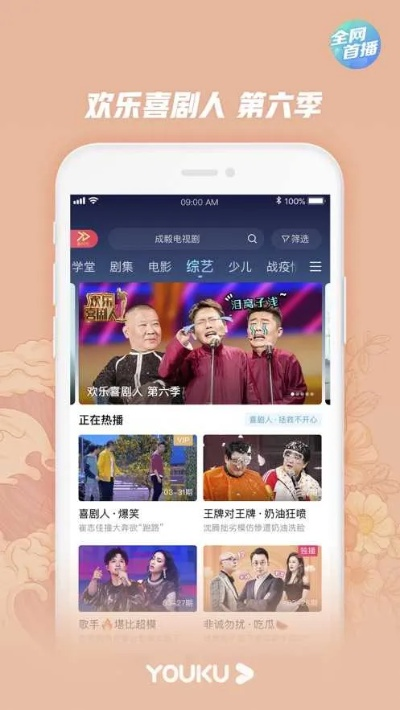 优酷去广告版本同辉2官方下载,最新成果解析说明|复古版_v9.547