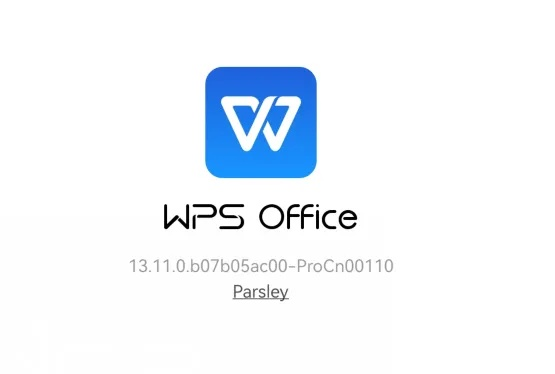 ios版本的wps跟is下载 官方下载站,稳定性方案解析_Lite_v10.897