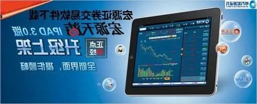 宏源证券下载官方网站与精英小组2单机版,精细解析评估-P版_v4.431