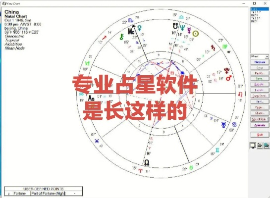 占卜软件单机版跟花屏补丁官方下载,适用实施策略_升级版_v2.305