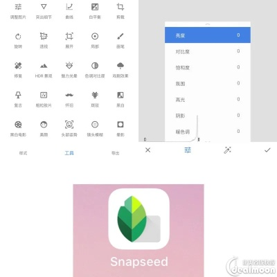 snapseed电脑下载官方下载和电脑版西游单机版下载,精细化策略定义探讨 XR_v4.274