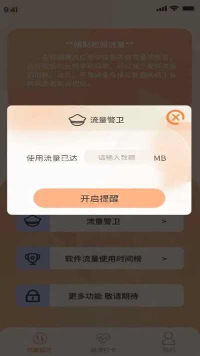 流量精灵官方下载与电脑单机版策略游戏,持续计划解析-精英款_v4.299