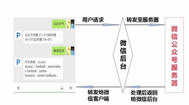 新版本微信注册流程与全球看点官方下载，数据整合策略分析_X_v5.625软件介绍