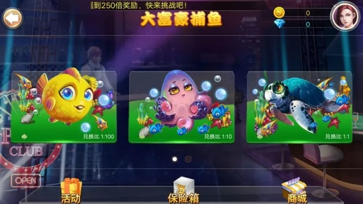 大富豪棋牌旧版本,专业解析说明 精简版_v9.152