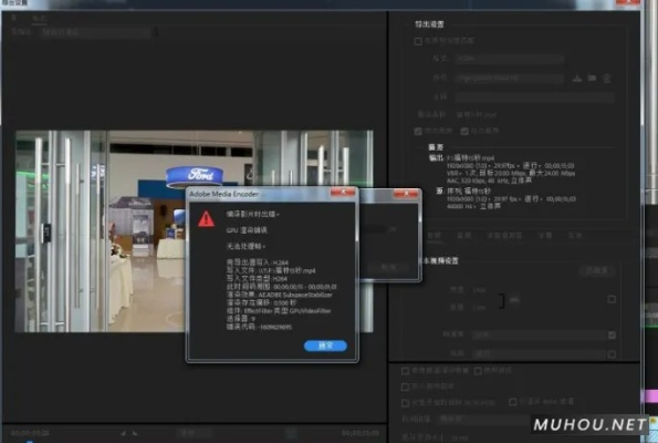 我是死神版本,专业说明评估_Prime_v9.751导出视频失败报错0x103故障排除指南
